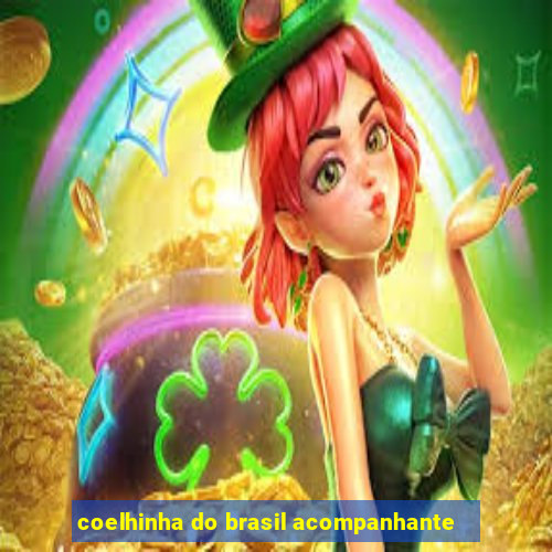 coelhinha do brasil acompanhante